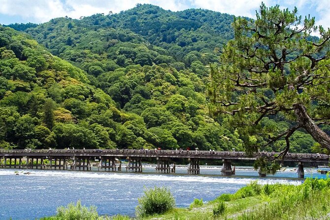 Kyoto: Arashiyama Bamboo Forest, Monkeys, Matcha & Temple Tour - Key things that make this tour special