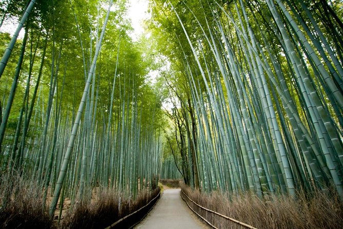 Kyoto Arashiyama Bamboo Forest & Scenery Customized Private Tour - Key things I’d highlight before you book