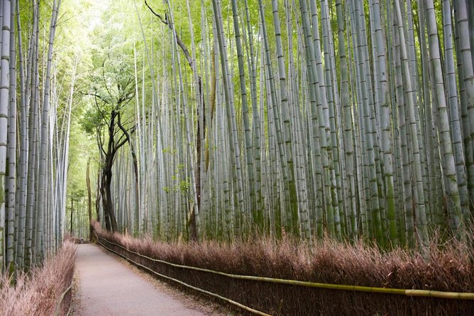 Kyoto Arashiyama Bamboo Forest & Scenery Customized Private Tour - Entering Kyoto via Arashiyama’s calmer edge