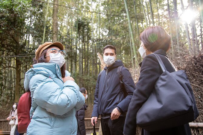 Kyoto Arashiyama Bamboo Forest & Scenery Customized Private Tour - Temples with stranger stories: Gioji, Adashino Nembetsu-ji, and Otagi Nenbutsu-ji