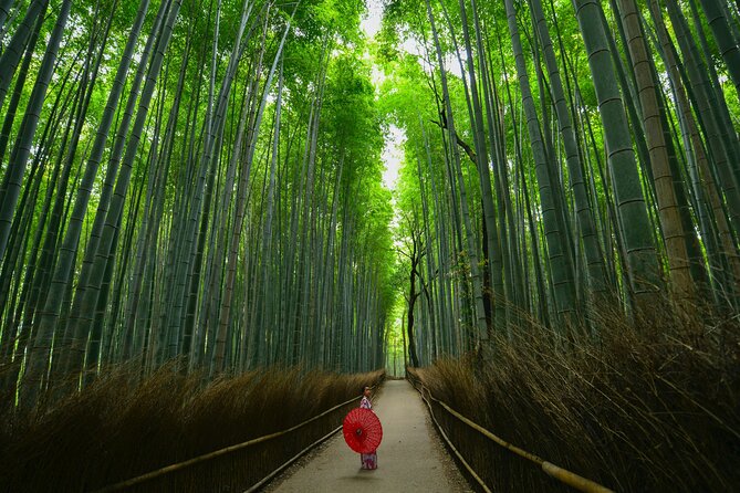 Kyoto: Arashiyama Bamboo, Temple, Matcha, Monkeys & secret spots - Arashiyama shopping street time, with translation help