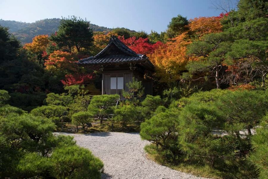 Kyoto: Arashiyama Bamboo, Togetsukyo bridge, Sanso, and more - Entering Arashiyama’s Best Hits in 3 Hours