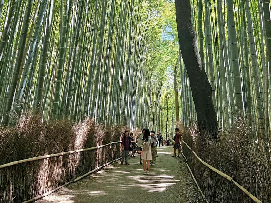 Kyoto: Arashiyama Bamboo, Togetsukyo bridge, Sanso, and more - Okochi Sanso Villa: Gardens With a Softer Mood