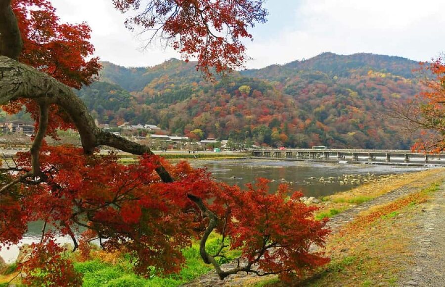 Kyoto: Arashiyama Bamboo, Togetsukyo bridge, Sanso, and more - Kimono Forest Illuminated: Kyoto’s Modern Contrast
