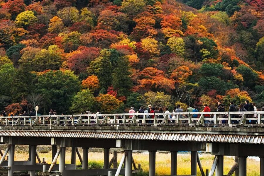Kyoto: Arashiyama Bamboo, Togetsukyo bridge, Sanso, and more - Price and Value: $26 for a Tight, Icon-Focused Route