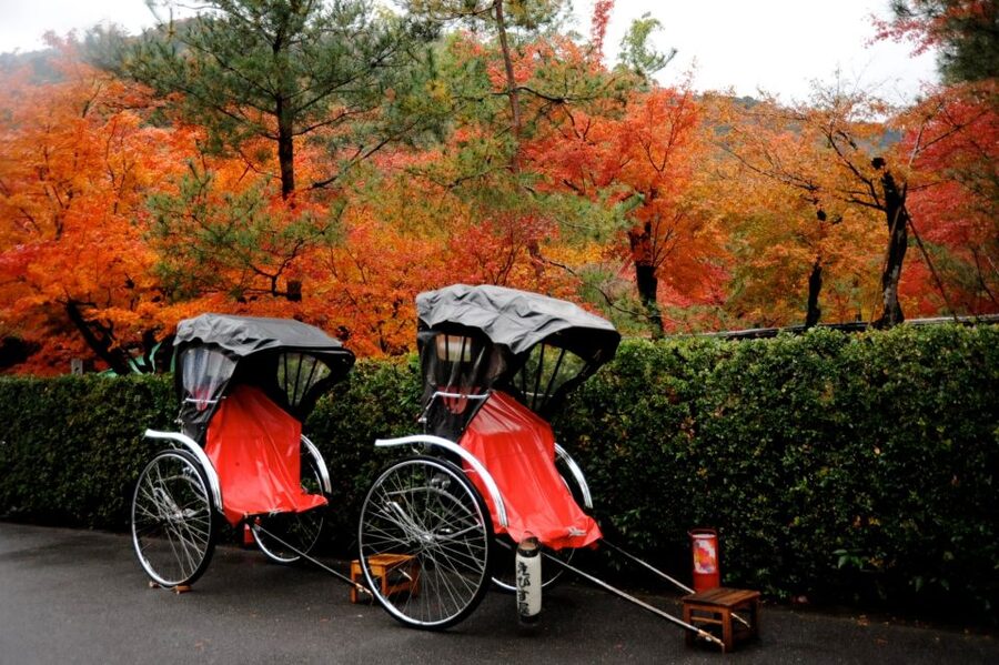 Kyoto: Arashiyama Customized Rickshaw Tour & Bamboo Forest - Rakushisya Cottage and the Arashiyama Neighborhood Side