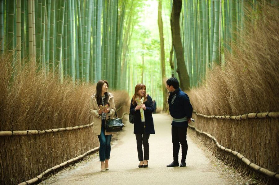 Kyoto: Arashiyama Customized Rickshaw Tour & Bamboo Forest - Nison-in and the Longer Routes That Give You Real Choices