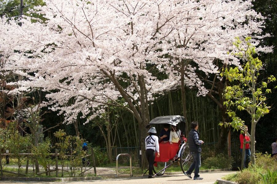 Kyoto: Arashiyama Customized Rickshaw Tour & Bamboo Forest - Comfort, Safety, and How to Dress for a Rickshaw Ride