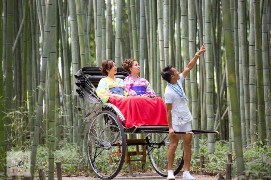 Kyoto: Arashiyama Customized Rickshaw Tour & Bamboo Forest - Price and Value for a Private Bamboo Experience at $51