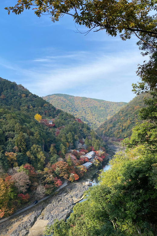 Kyoto: Arashiyama Guided Tour, Bamboo, Monkey, Zen Temple - Key things that make this Arashiyama tour worth it