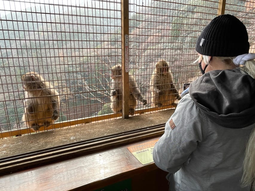 Kyoto: Arashiyama Guided Tour, Bamboo, Monkey, Zen Temple - Your 3-hour route around Arashiyama, step by step