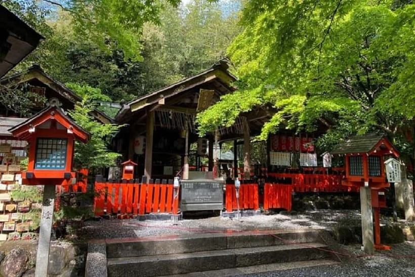 Kyoto: Arashiyama Guided Tour, Bamboo, Monkey, Zen Temple - Should you book this Arashiyama Bamboo and Monkey tour?