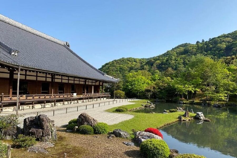 Kyoto: Arashiyama Guided Tour, Bamboo, Monkey, Zen Temple - Price and value for $74