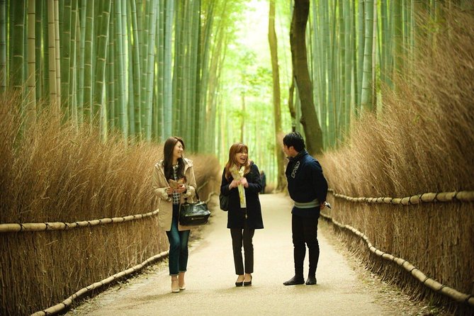 Kyoto Arashiyama Rickshaw Tour with Bamboo Forest - Inside the Private Rickshaw Ride: What You Actually Get in Bamboo