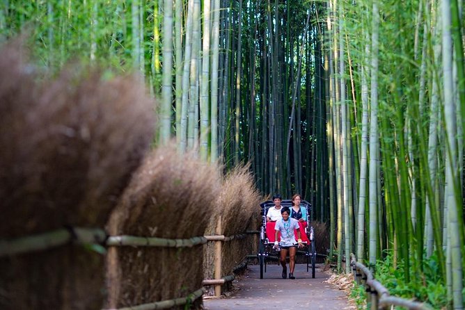 Kyoto Arashiyama Rickshaw Tour with Bamboo Forest - Comfort, Timing, and Who This Tour Fits Best