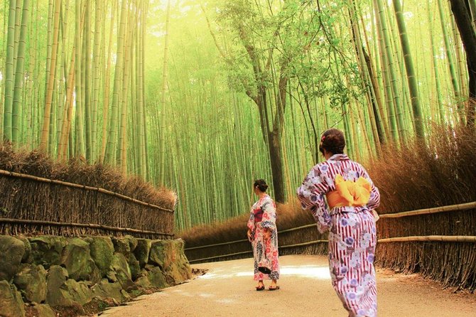 Kyoto Arashiyama & Sagano Bamboo Private Tour with Government-Licensed Guide - Key highlights that make this tour worth your time