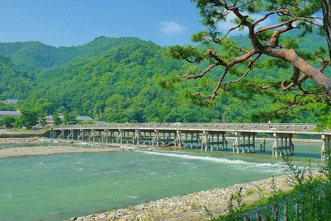 Kyoto Arashiyama & Sagano Bamboo Private Tour with Government-Licensed Guide - Nenbutsuji statue temples: Adashino and Otagi’s stone faces