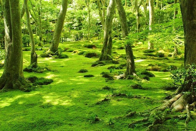 Kyoto Arashiyama & Sagano Bamboo Private Tour with Government-Licensed Guide - Imperial villa gardens: Shugakuin and Katsura, including the special viewing rules