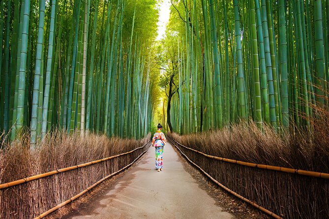 Kyoto Arashiyama Walking Tour: Bamboo, Monkeys, Gardens & Secrets - Bamboo Forest and Okochi Sanso Garden: Where the day turns peaceful