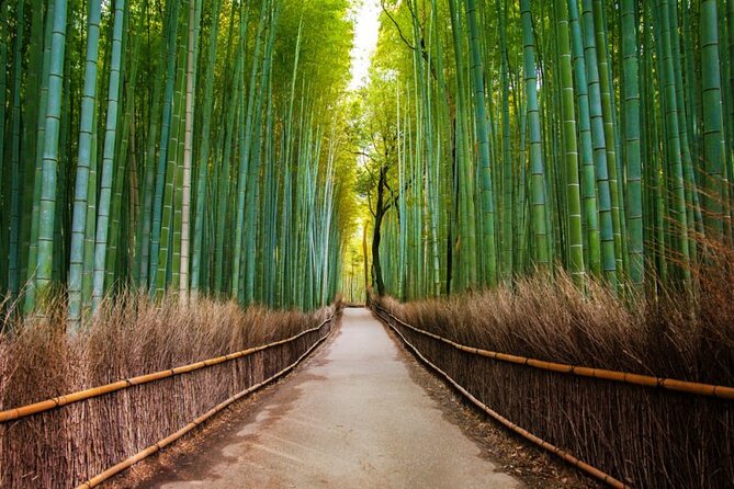 Kyoto Arashiyama Walking Tour: Bamboo, Monkeys, Gardens & Secrets - Monkey Park Iwatayama: The climb, the payoff, and what makes it memorable