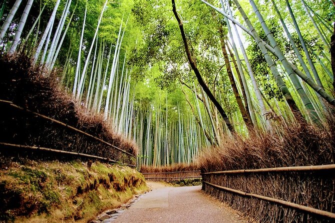 Kyoto Arashiyama Walking Tour: Bamboo, Monkeys, Gardens & Secrets - Should you book this Arashiyama bamboo and monkeys tour?