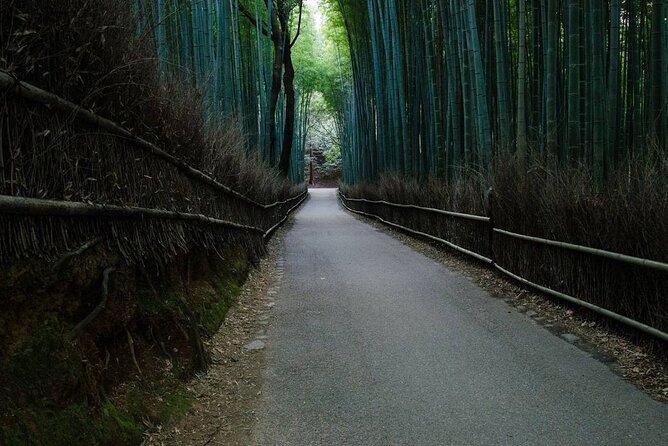 Kyoto Bamboo Forest & Golden Pavilion E-Bike Tour - Tenryu-ji Temple and its Zen garden: the UNESCO payoff