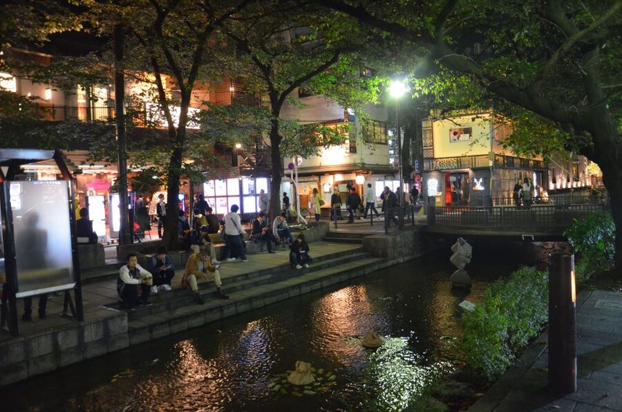 Kyoto: Casual Pontocho Evening Food Tour - Drinks Included, Alcohol Rules Covered, and Why It Helps Your Night