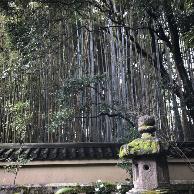 Kyoto: City Secrets eBike Tour - The shrine of knowledge: learning that feels practical