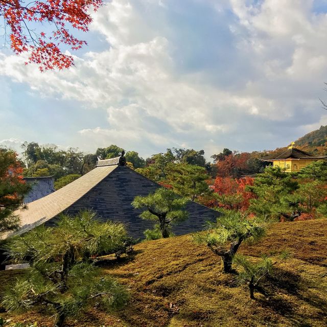 Kyoto: City Secrets eBike Tour - Road tips for Kyoto riding, and how to stay relaxed