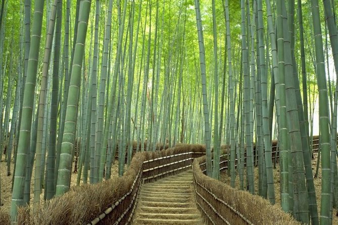 Kyoto Day Trip using Private Car with English Driver (up to 5) - The 10-hour rhythm: getting from Arashiyama to Fushimi without panic