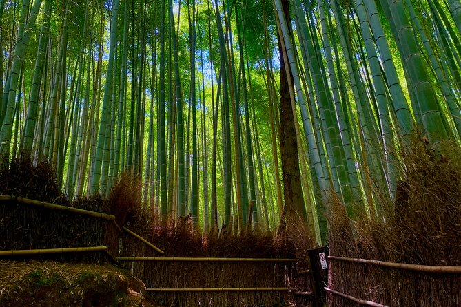 Kyoto Early Bird English Tour: Fushimi-Inari and Arashiyama - Stop 1, Fushimi Inari-taisha in the morning, torii steps with fewer interruptions