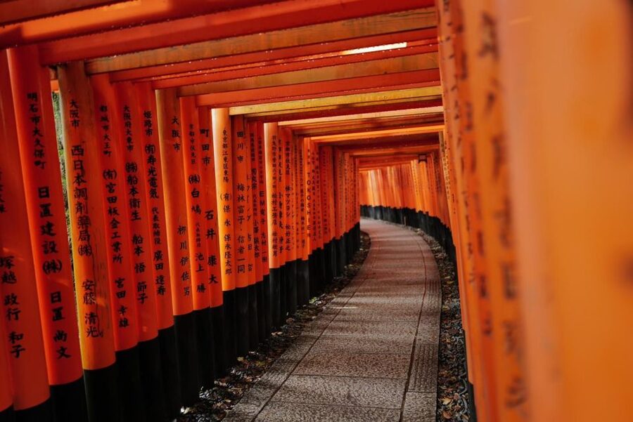 Kyoto: Early Morning Tour with English-Speaking Guide - What to Bring (and What to Skip) for a Smooth Morning