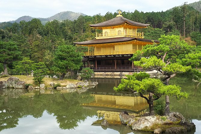 Kyoto Early Riser Golden One-Day Walking Tour - Fushimi Inari-taisha: the torii tunnel moment you will remember