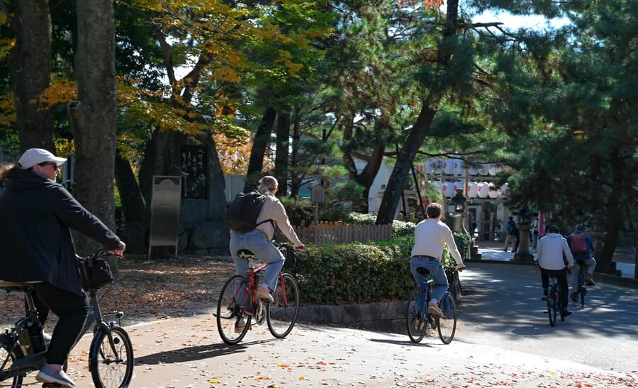 Kyoto: Full Day Bike Tour - Sanjo arcade, Shinsen-en gardens, and Kitano Tenmangu: Kyoto beyond the postcard