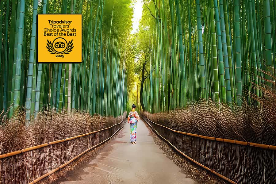Kyoto: Fushimi, Arashiyama - Bamboo, Monkey, Torii & Secrets - Quick hits: what makes this tour tick