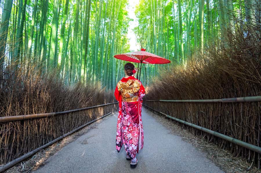 Kyoto: Fushimi, Arashiyama - Bamboo, Monkey, Torii & Secrets - Tenryuji Temple Garden: Zen calm in a UNESCO setting