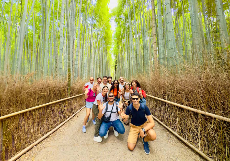 Kyoto: Fushimi, Arashiyama - Bamboo, Monkey, Torii & Secrets - Monkey Park hike: wild monkeys, big views, real climbing