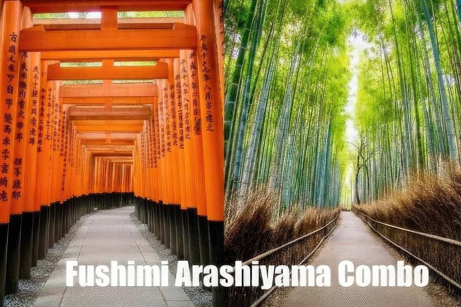 Kyoto: Fushimi, Arashiyama - Bamboo, Monkey, Torii & Secrets - Fushimi Inari Taisha: the torii gates are the main character