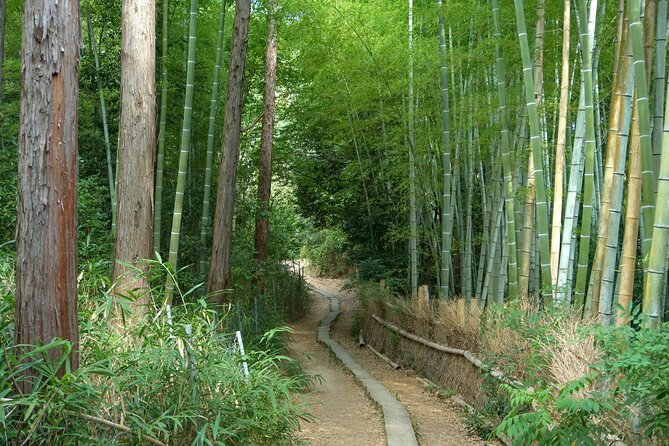 Kyoto: Fushimi Inari Hidden Hike (Private) - The quiet trails on Mount Inari: where the spiritual context really lands