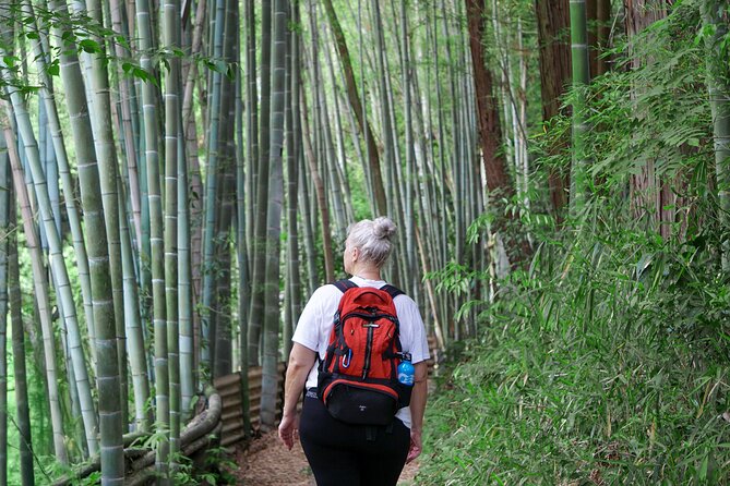 Kyoto: Fushimi Inari Hidden Hike (Private) - Who this Kyoto Fushimi Inari Hidden Hike is best for