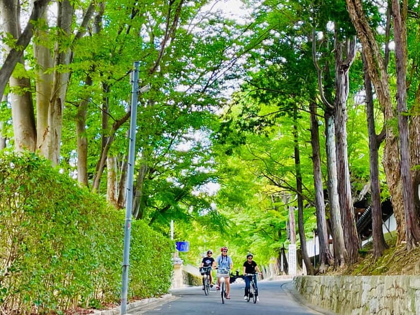 Kyoto: Fushimi Inari Shrine and Tofukuji Temple E-Bike Tour - Gion district customs: geisha culture you can actually make sense of