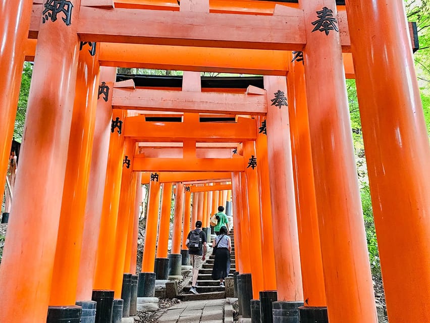Kyoto: Fushimi Inari Taisha Guided Walking Tour - Lower shrine vs upper shrine: pick the torii route that matches your energy