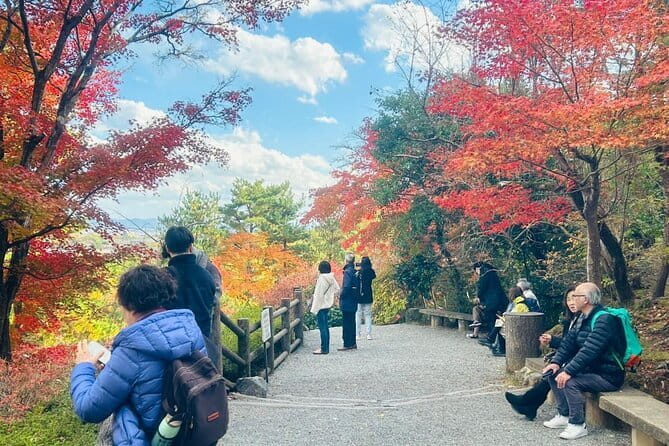 Kyoto: Geisha Dinner & Gion Cultural Walk - Who Should Book This Gion Geisha Dinner Tour