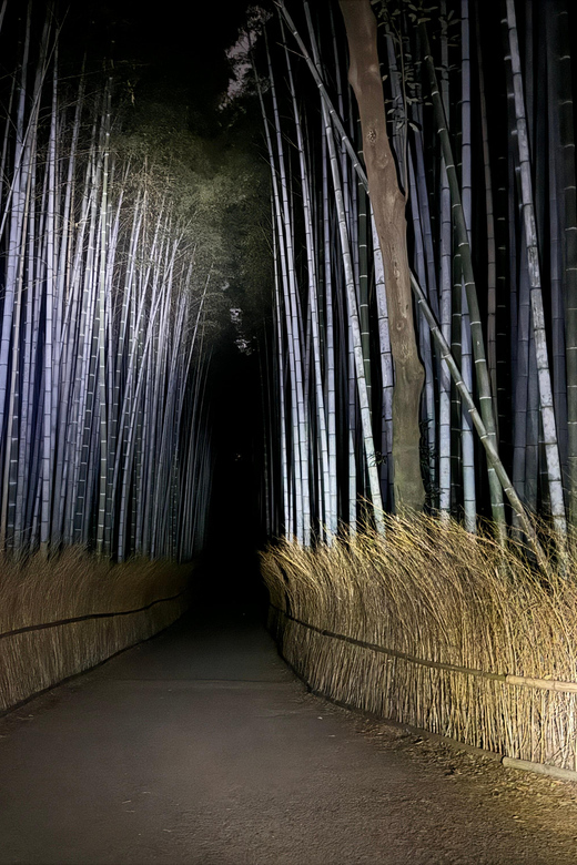 Kyoto: Ghost Tour - Legends, Dark Tales, Bamboo Forest Night - Meeting at Saga-Arashiyama Station, plus the Kimono Forest tip