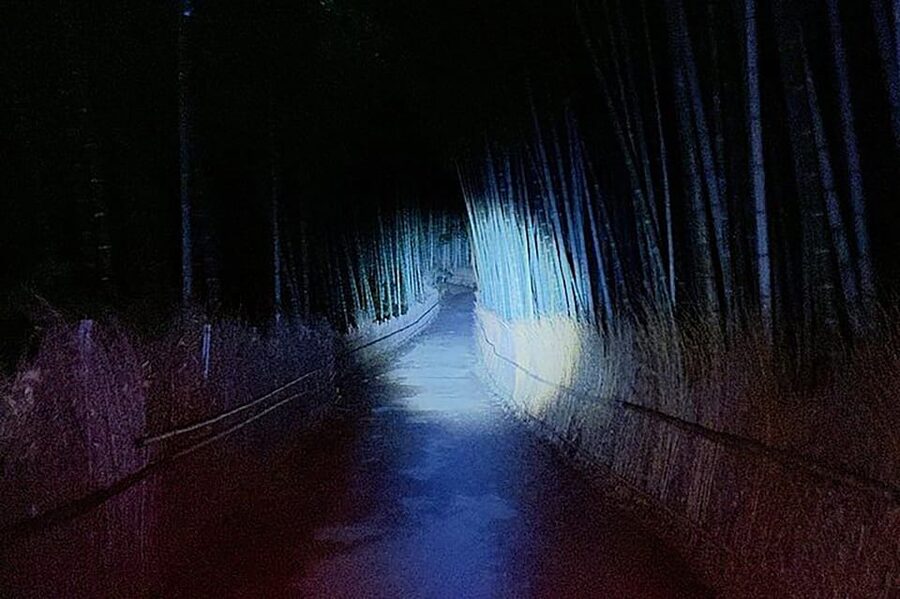 Kyoto: Ghost Tour - Legends, Dark Tales, Bamboo Forest Night - Arashiyama pass-by and the quick shopping window