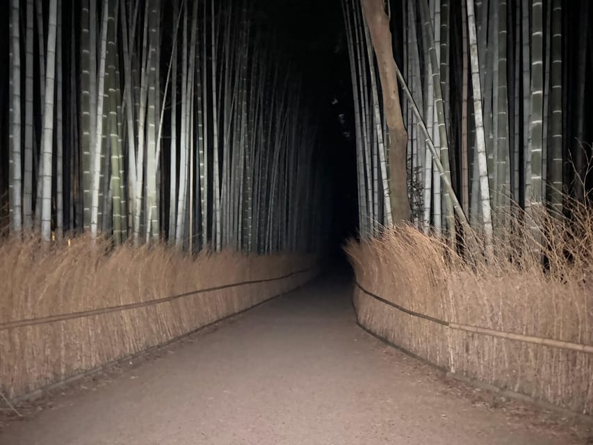 Kyoto: Ghost Tour - Legends, Dark Tales, Bamboo Forest Night - Dark tales, funny delivery, and guide energy