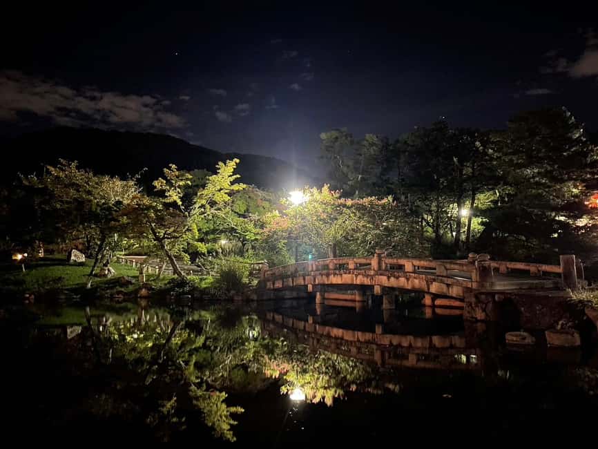 Kyoto: Gion & Geisha District Night Time Walking Tour - The value: $20 for an English guide, photos, and real context
