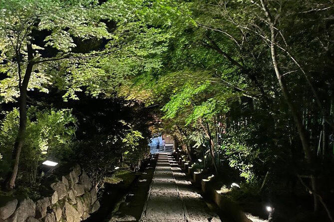 Kyoto: Gion Magical Night Walking Tour - Geisha culture and etiquette: what the guide helps you get right