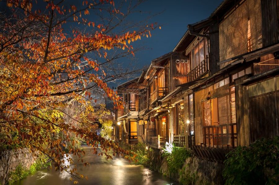 Kyoto: Gion Sunset Walking Tour with Local Guide - Scenic viewpoints plus Maruyama Park: why the route keeps changing elevation
