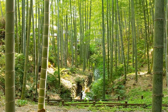 Kyoto Highlights: Arashiyama & Fushimi Inari by Private Car - How to make the most of the day without feeling rushed